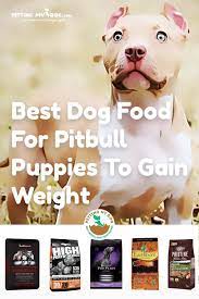 Best Dog Food For Pitbull Puppies To Gain Weight Pitbulls Best Dog Food Pitbull Puppies