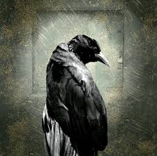 Robots to the Rescue