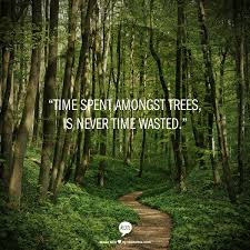 My New Favorite Philosophy Nature Quotes Words Inspirational Quotes