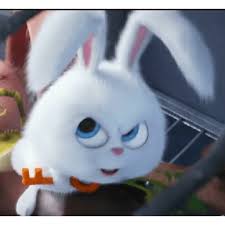Browse millions of popular cute wallpapers and ringtones on zedge and personalize your phone to suit you. Snowball Rabbit 2 In 2020 Cute Bunny Cartoon Cute Cartoon Wallpapers Snowball Rabbit