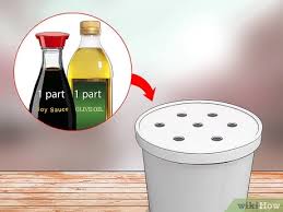 Before asking yourself, are earwigs eating my garden?, look for damaged seedlings that may be missing parts or all of stems and leaves. How To Get Rid Of Earwigs 12 Steps With Pictures Wikihow