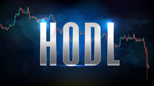 HODL Crypto Term: A Deep Dive into Its ...