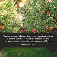 Peaceful Fruit Of Righteousness