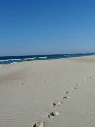 Furadouro Beach Ocean Beach Mother Nature