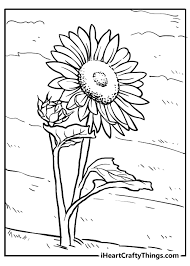 It's a very cloudy day in this sunflower coloring sheet! Sunflower Coloring Pages Updated 2021