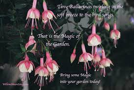 Fuchsia Flowers And Magical Gardens Archeratwood Com Willowsmoonsong Com Fuchsia Flowers Magical Garden Hanging Plants