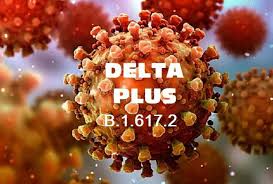 Health experts have warned that the delta plus or ay.01 variant may unleash a third wave in the coming months, as it could possibly circumvent the body's immune system. Trending News New Problem First Case Of Delta Plus Variant Found In Punjab Symptoms Found In 62 Year Old Patient Hindustan News Hub