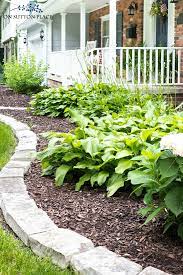 I love to add a few hosta leaves to my bouquets to give them texture and a pop of. Hostas Care Transplanting Hostas Hosta Varieties Infographic