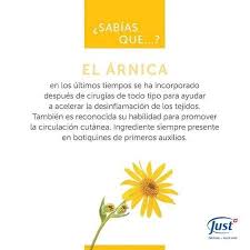Pin By Karina Specioso On Ingredientes Arnica Swiss