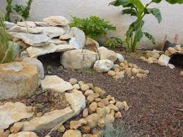 Exemples De Parcs Pour Adultes Habitat De La Tortue Enclos Tortue De Terre Terrarium Tortue