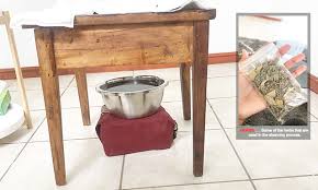 Check spelling or type a new query. Exploring Yoni Steaming The Namibian