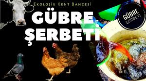Bitki Costuran Gubre Serbeti Nasil Yapilir Youtube
