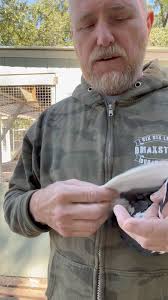 The when and why is of plucking flights