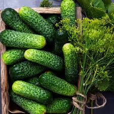 Supercook found 164 cinnamon and pickle recipes. Cucumber Pickles The Right Way Pickles Without Vinegar Have A Short By Mark Bittman Heated