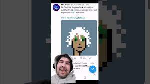 Crypto Punk 9998 The World Most Expensive Nft Crypto Bitcoin Youtube
