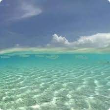 Underwater sea live wallpaper es un personalization aplicación para android. Download Underwater Live Wallpaper Hd 2 1 0 Apk For Android Appvn Android