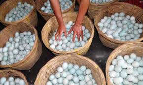 Check spelling or type a new query. Jajakan Telur Asin Rasa Salom Dan Kepiting Yuli Kantongi Omzet Rp200 Juta Okezone Economy