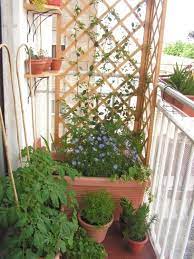 Balconi Piccoli Arredati Cerca Con Google Balcony Trellis Small Balcony Garden Balcony Shade