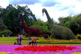 Pohon, alam, mekar, menanam, langit, bunga, musim.kode pos kebun bunga adalah 30151. Foto Ada Dinosaurus Di Taman Bunga Nusantara Umum Sekali