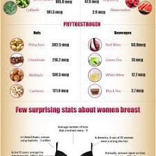 Foods That Increase Breast Size Visual Ly