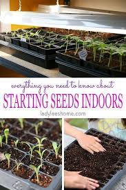 Pin On Gardening