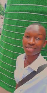 Les ami des stone ngambeka