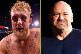 I would KO Conor in boxing or MMA'