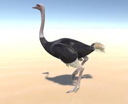 Ostrich Sponsored 3d Ostrich Characters Animals Ostrich Character Photography Names