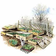 We chose cypress lumber because it will last in the elements for a long time. Garden With Cold Frames To Grow More Food Mother Earth News