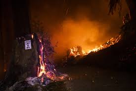 July 8, 2021, 7:43 p.m. How We Escaped The Worst Of The California Wildfires The New Yorker
