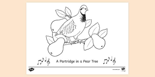 The partridge in a pear tree if jesus christ. Free Partridge In A Pear Tree Colouring Sheet Colouring Sheets