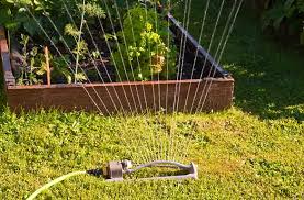 I know this is an irritating task. Lawn Watering And Irrigation A Beginner S Guide Trees Com