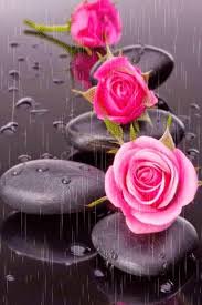 We did not find results for: Pin By Adriana Irene On Touch Pink Woman Flower Phone Wallpaper Beautiful Rose Flowers Book Flowers