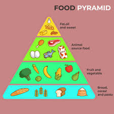 List of dash diet foods february 4 2020 nadaelgazaar therapeutic diets 0 the list of dash diet foods allowed concentrates on limiting sodium intake consuming a variety of vegetables to attain appropriate nutrition and controlling the food amount in each meal. 9 Best Dash Diet Food Charts Printable Printablee Com