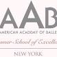 AAB SUMMER 2026 AUDITIONS - Pleasantville, NY - JAN 25 event image