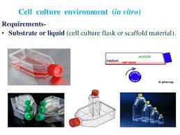 Types of tissue culture • cell culture • tissue from an explant is dispersed, mostly enzymatically, into a cell suspension which may then be cultured as a monolayer. Animal Tissue Culture Media