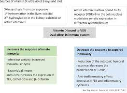 A good source of vitamin d, vitamin c plus more. Vitamind Supplementation For The Prevention And Treatment Of Covid 19 A Position Statement From The Spanish Society Of Geriatrics And Gerontology Revista Espanola De Geriatria Y Gerontologia
