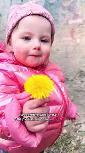 Цветочки В Telegram