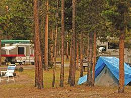 Madison Campground Yellowstone Camping National Park Lodges Yellowstone National Park