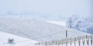 I venti saranno deboli e spireranno con un'intesità media di 3 km/h. F2lnb7nx8z3tqm