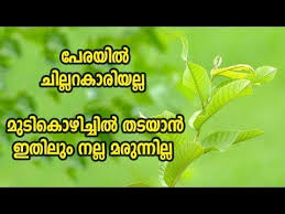 Just click to download and share with all your friends. Aloe Vera Gel For Hair Growth In Malayalam Beauty News