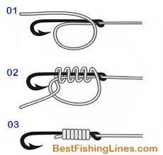 Best Fishing Knot How To Tie Fishing Hook To A Line Fishing Knots Fishing Line Knots Tie Fishing Hook