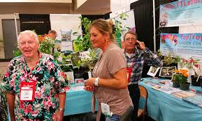 Image result for Siphonochilus kirkii - yellow-flowered form