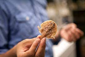 Image courtesy of prosanta chakrabarty (louisiana state university, usa). Lsu On Twitter Happy Nationalpancakeday Dyk Lsu Researcher Preaux Fish Discovered The Louisiana Pancake Batfish In The Gulf Of Mexico Lsuresearch Https T Co M8y26hjoq3