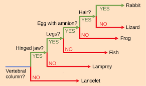 4.2: Limitations Of Phylogenetic Trees - Geosciences Libretexts