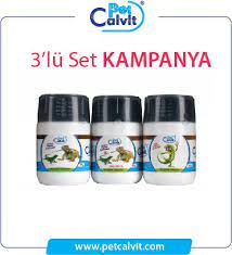 iguana calcium powder panosundaki pin