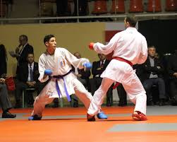 Comme chaque année, le club a organisé une régate de clôture, ce vendredi 11 novembre. Championnats De Ligue De Karate Agenda Services En Ligne Accueil Mairie De Wasquehal