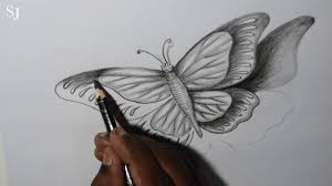 Download Drawing 3d Butterfly With Pencil Youtube
