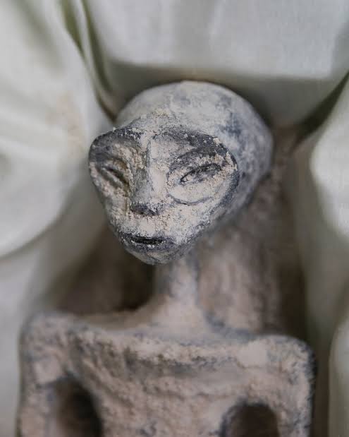 EXCLUSIVE: Exclusive: A close encounter with the 'alien bodies' in Mexico |  Reuters