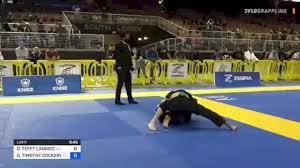 DEREK TEFFT LINARES vs DANIEL TIMOTHY COCKERILL II 2021 Pan Jiu-Jitsu IBJJF  Championship